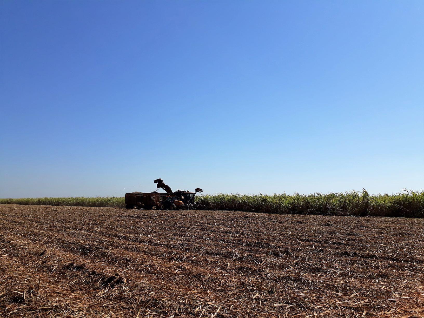 Na reta final da safra, produção de cana-de-açúcar atinge 46,4 milhões de toneladas
