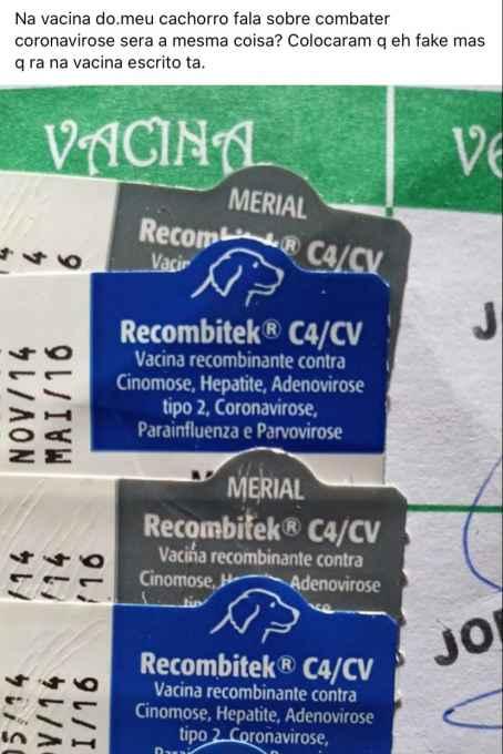 Vacina contra coronavírus não imuniza Covid-19 e é apenas para animais, alerta veterinária